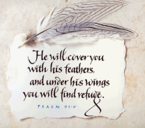 SmartSelectImage_2018-03-26-16-17-04